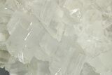 Selenite Crystal Cluster - Naica Mine, Mexico #372144-2